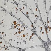 Autumn Tree Mirror ( 100 x 70cm)