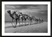 PHOTO ENCADREE